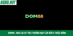 dom88