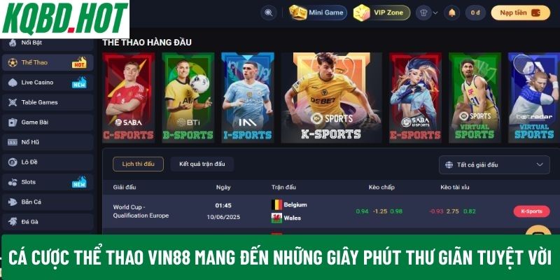 Cá cược thể thao VIN88 mang đến những giây phút thư giãn tuyệt vời